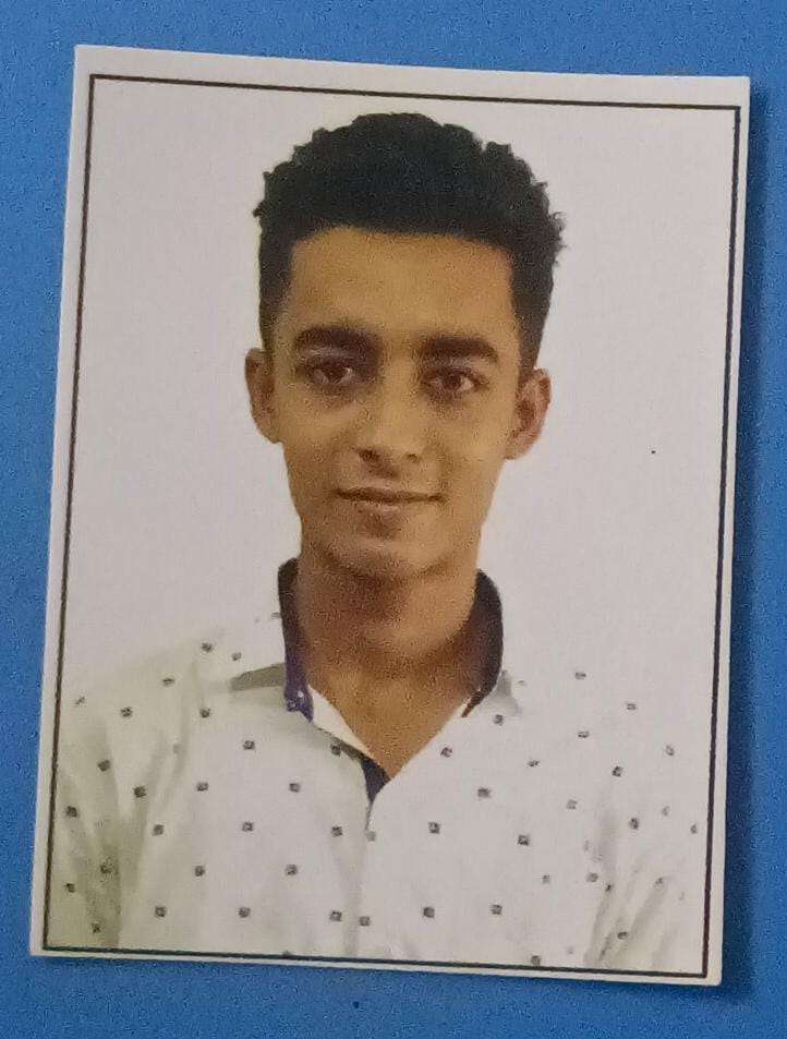 Profile photo of alipta sayan roy