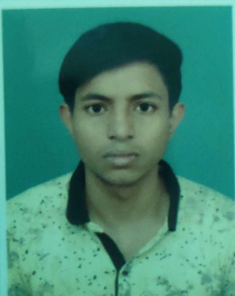 Profile photo of Subhankar Paria